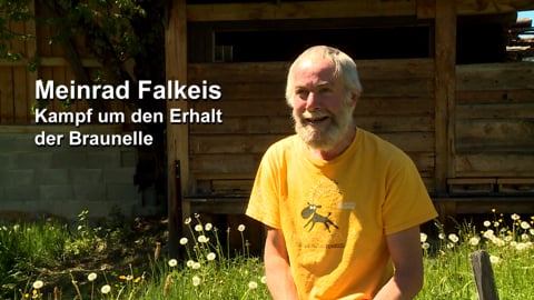 Video 222412048